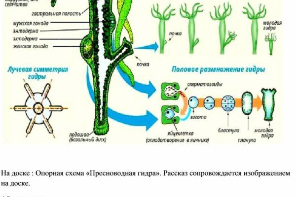 Kraken рабочая ссылка onion