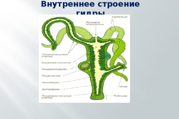 Кракен макет плейс